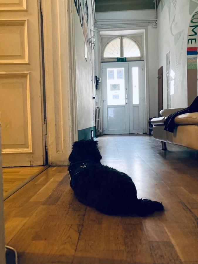 Black Dog Hostel บูดาเปสต์ ภายนอก รูปภาพ
